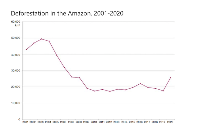 A chart shows deforestation fell in the early 2000 but sharply rose again starting in 2019